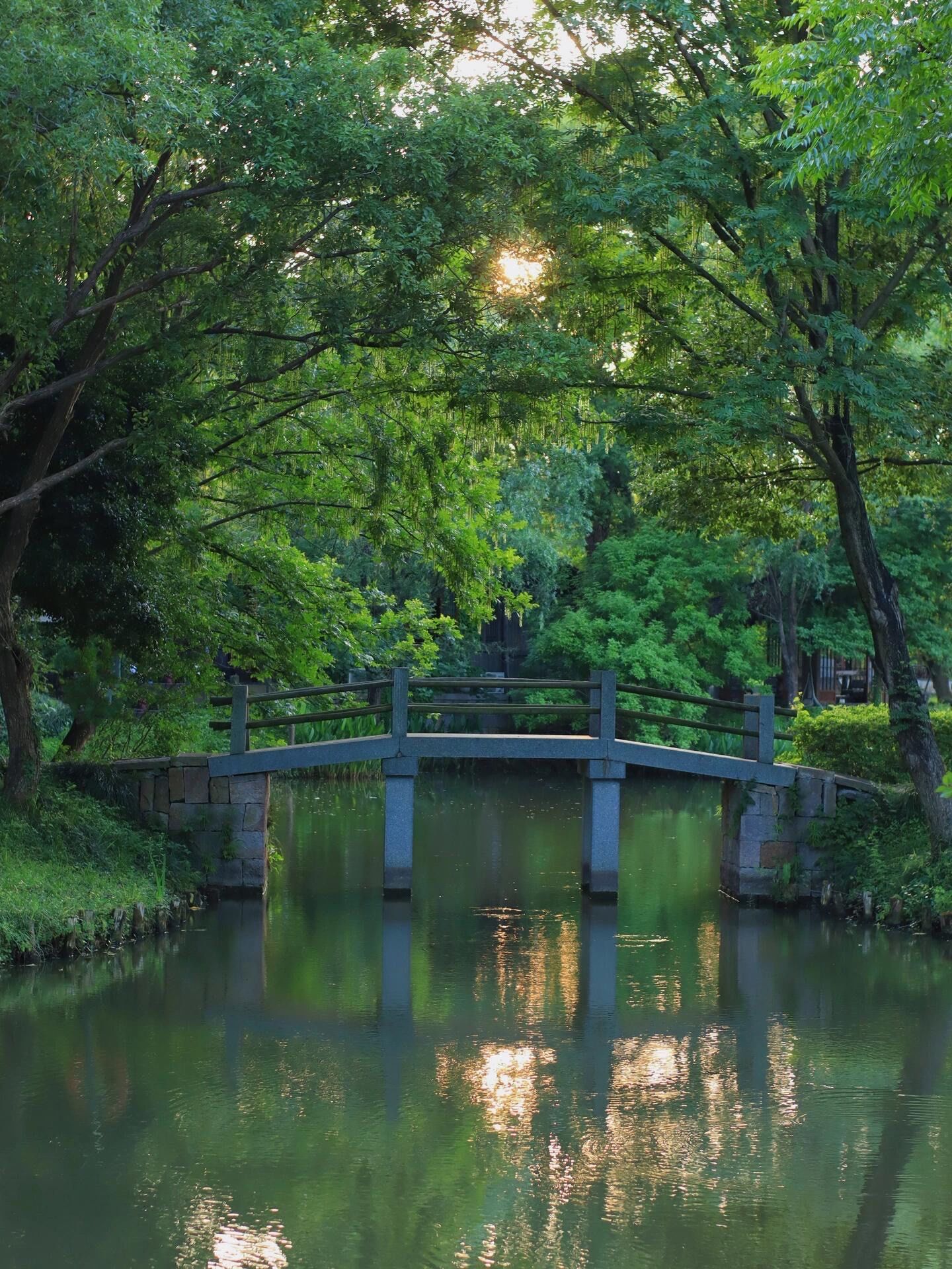 离开杭州前,一定要去一趟免费的西溪湿地❗️