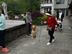 -鹿亭中村