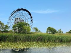 -苏州太湖湖滨国家湿地公园