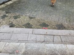 -龙潭水乡