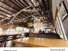 -猫屎咖啡(陶溪川店)