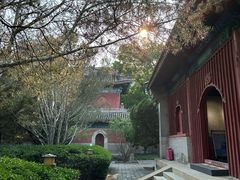 -大钟寺古钟博物馆