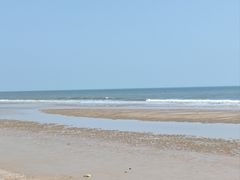 -日照海滨国家森林公园