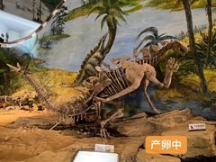 -自贡恐龙博物馆
