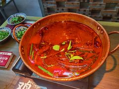 -滇牛云南火锅(桂林路店)