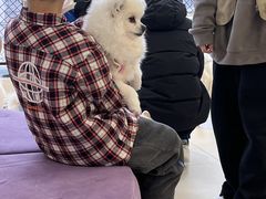 -怪兽屋·羊驼·猫咖·狗咖(俊华广场店)