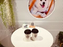-Husky Go! 哈士奇体验馆·宠物咖啡厅狗咖