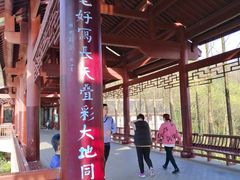 -重庆彩云湖湿地公园