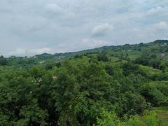 -桃源山庄·水蜜桃采摘·柴火鸡·烧烤团建(龙泉山店)
