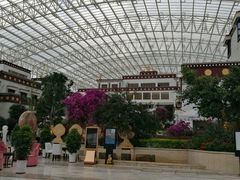 -拉萨圣地天堂洲际大饭店-自助餐厅