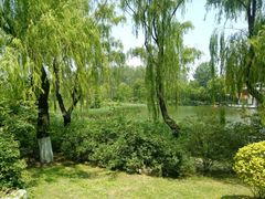 -济南植物园