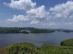 -天乐农家鱼头王(天目湖店)