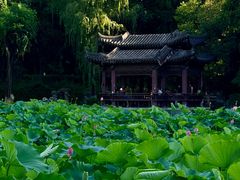 -莲湖公园