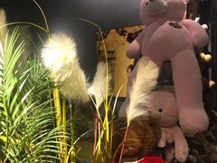 -咖法森林·咖啡  酒吧(天河店)