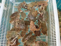 -兆辉木炭海鲜烧烤·海鲜小炒