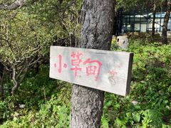 -白草畔自然风景区