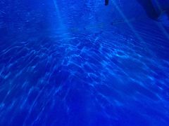 -芜湖新华联大白鲸海洋公园