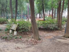 -东湖落雁景区