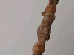羊肉串-西贝(吴江路湟普汇店)