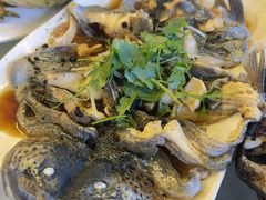 -京北渔家傲