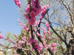 -天毓山庄·餐厅