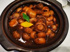 口蘑-太湖饭店·寄畅轩中餐厅