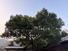-宁波九龙湖开元度假村