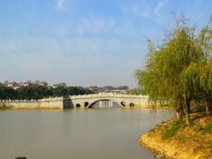 -九龙湖公园