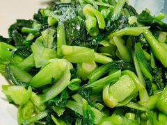 -小小饭店·休闲农庄·安吉松树林里的农家菜