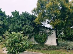 -海珠湖公园