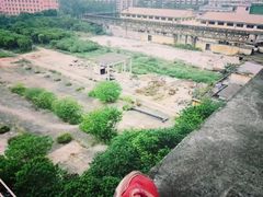 -广东紫坭糖厂(桥头路)