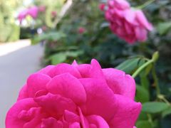 -森林公园(尖草坪区)