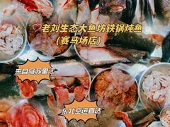 -老刘生态大鱼坊铁锅炖鱼(赛马场店)