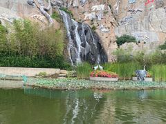 -西霞口神雕山野生动物世界