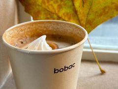 -BOBAC