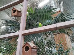 -南宫五洲植物乐园