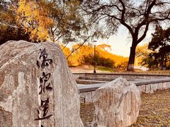 -万泉公园