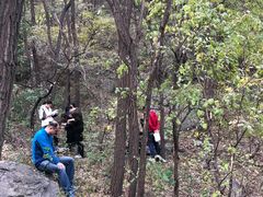 -阳台山自然风景区