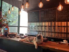 -后院儿·精酿·塔罗Happy Bar