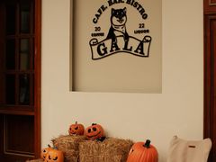 -ZAZA.CAFE.BAR