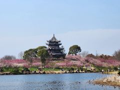 -上海海湾国家森林公园