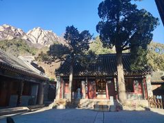 -龙泉寺
