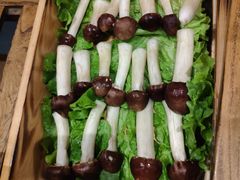 -南门四季铜锅涮肉(左家庄店)
