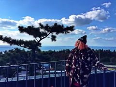 -朝安泰迪熊博物馆