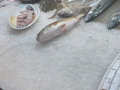 -和源祥·日照菜扛把子(万平口一店)