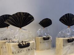 -BLACKSWAN黑天鹅(环球店)