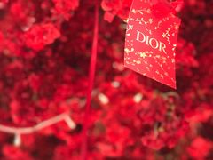 -Dior迪奥(上海世茂广场店)