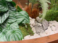 -糖糖屋•糖水•雪花冰店(时尚天河店)