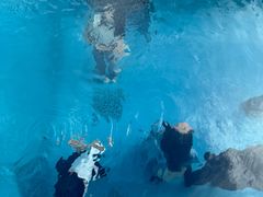 -金泽21世纪美术馆