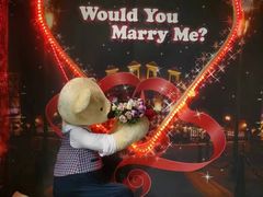 -济州岛泰迪熊博物馆